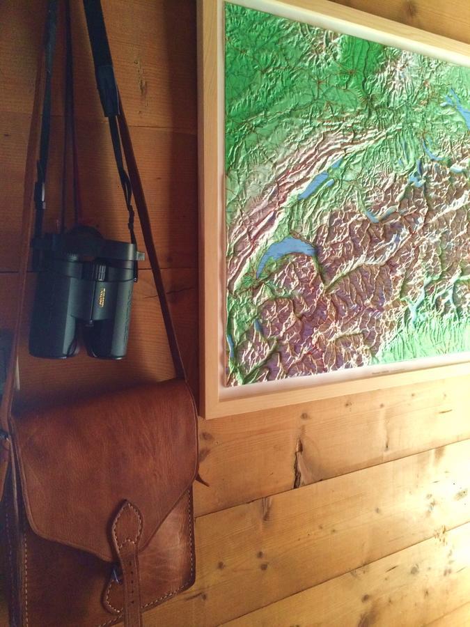 Chalet Nidus Montis Casti-Wergenstein ภายนอก รูปภาพ
